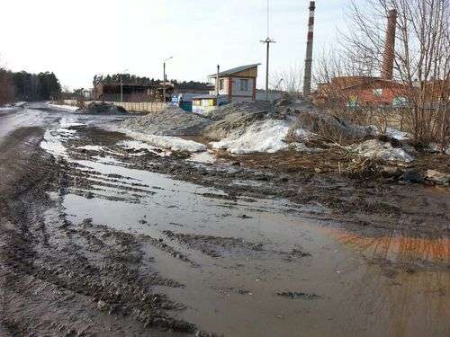 Частные ассенизаторы сливают стоки в неположенных местах в Бердске