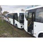 Новые «губернаторские» автобусы едут в Бердск