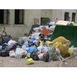 УК Бердска должны за месяц оборудовать мусорные баки крышками