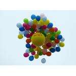 Бердчане против запуска 903 воздушных шаров в честь 301-й годовщины Бердска