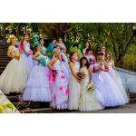 В День города бердчан ждёт красивейшее зрелище: парад невест