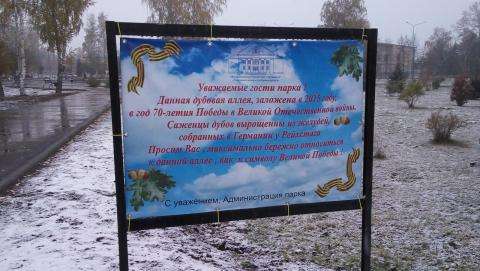 На баннере из 30 слов можно насчитать десяток ошибок На баннере из 30 слов можно насчитать десяток ошибок
