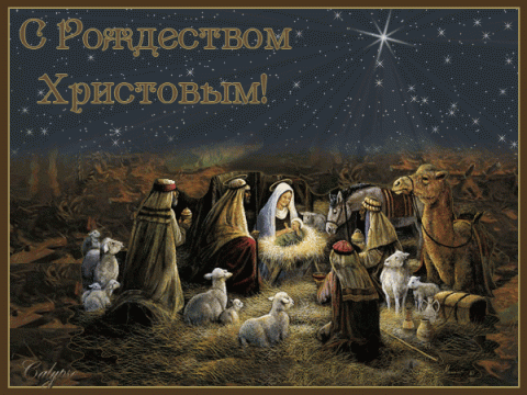 «Рождественская звезда» «Рождественская звезда»