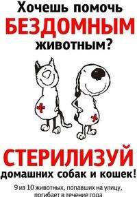 Льготная стерилизация животных в Бердске Льготная стерилизация животных в Бердске