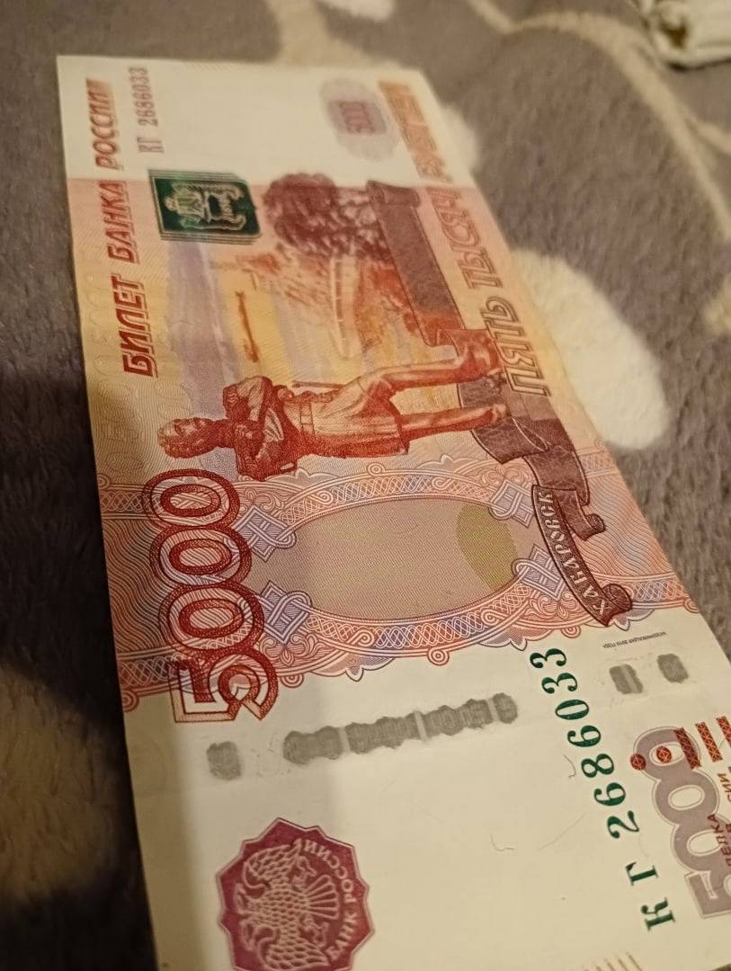 203 фальшивые банкноты выявили в Новосибирской области за 2022 год