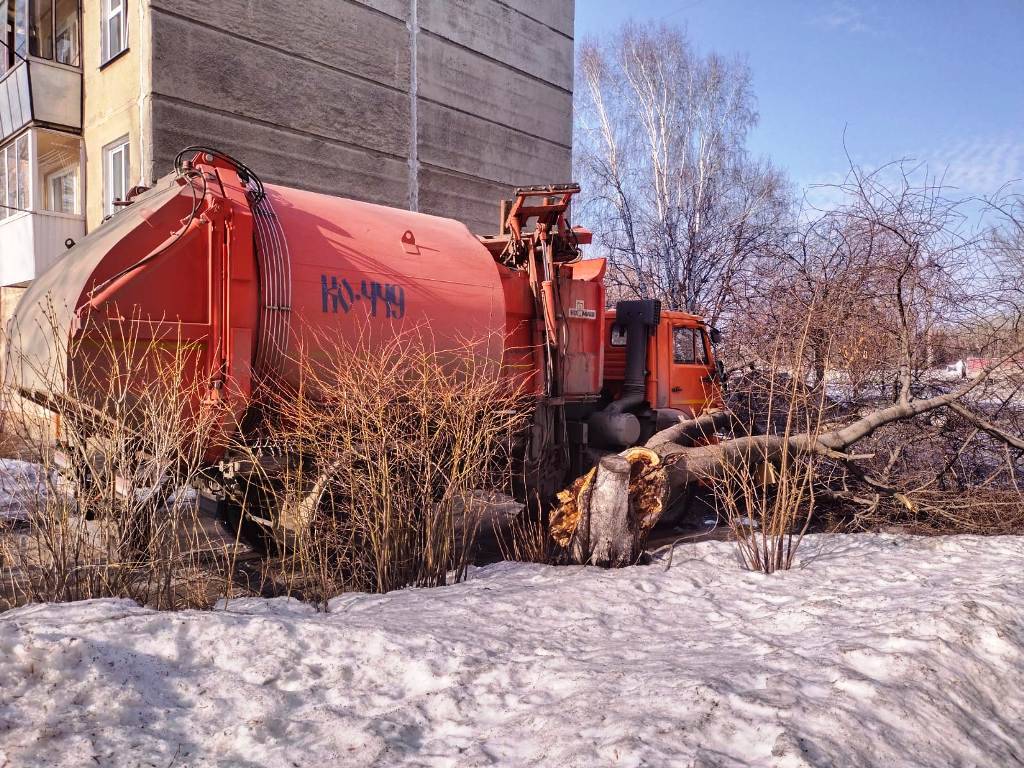 Дерево рухнуло на мусоровоз в Бердске