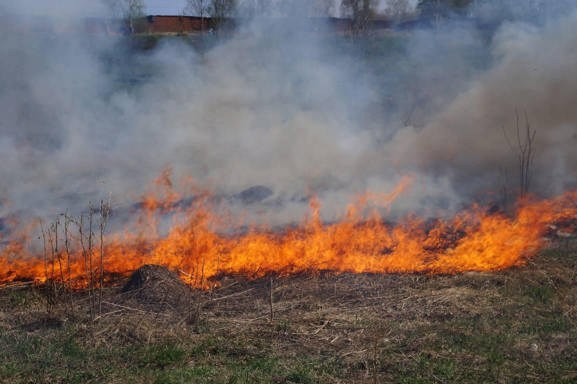 Пожароопасный сезон стартует в Новосибирской области с 17 апреля