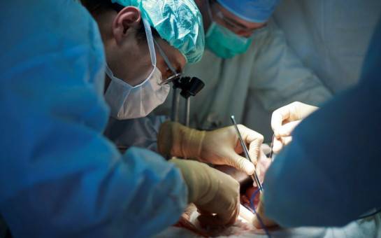 Пересадка печени от отца спасла молодую женщину от смерти — трансплантация в Новосибирске