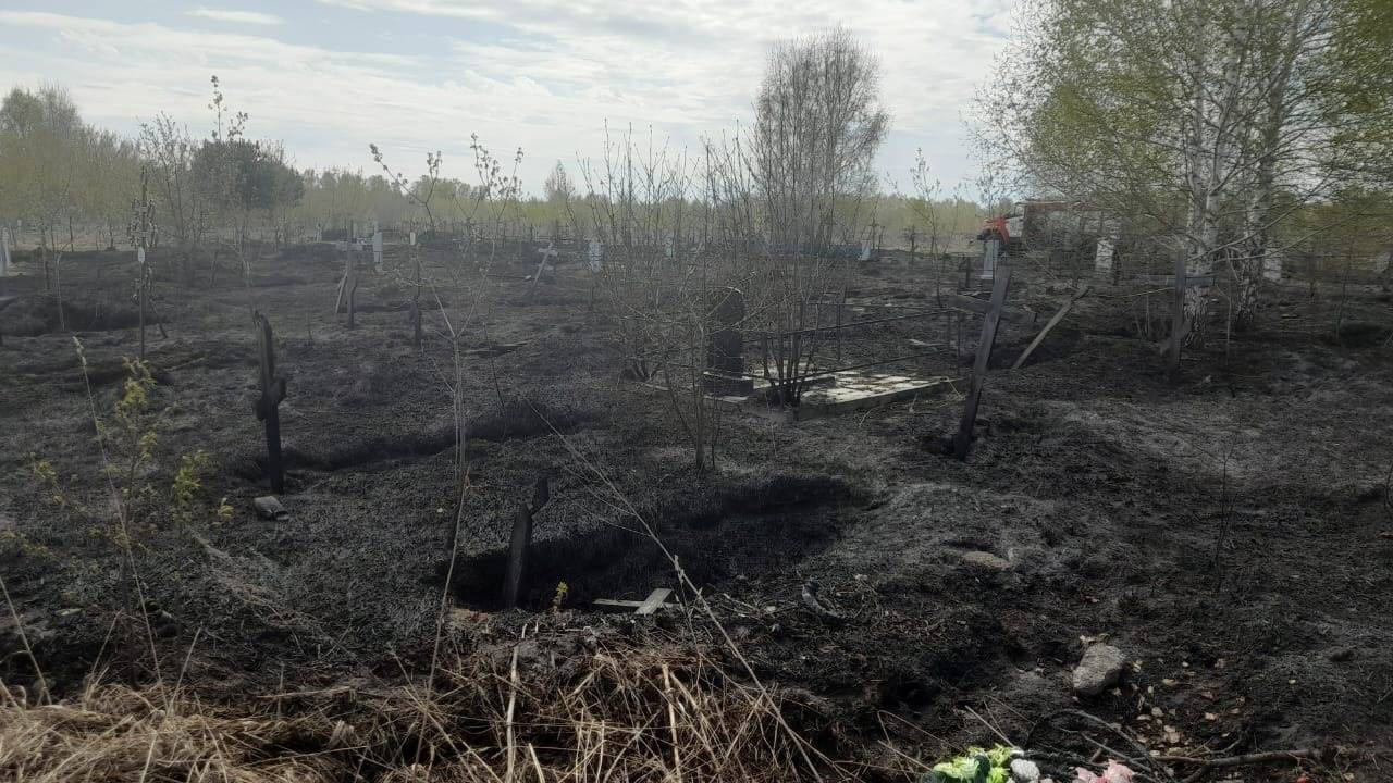 Кладбище, баня, киоск и мусоропровод горели в Бердске