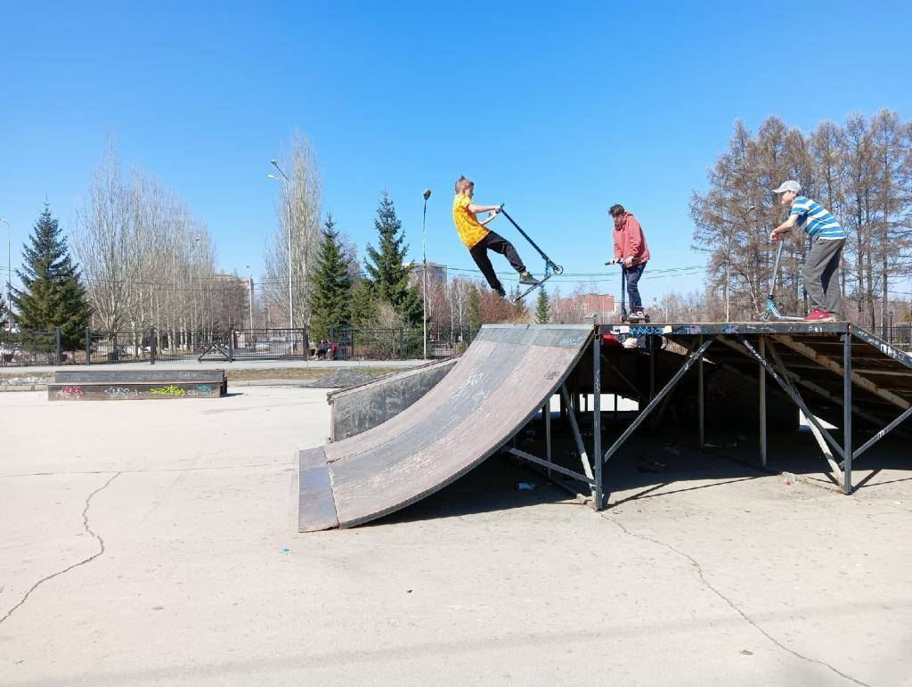 Построить скейт-парк в Бердске распорядился мэр Бурдин