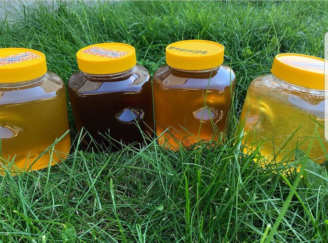 Мед разнотравье полезные