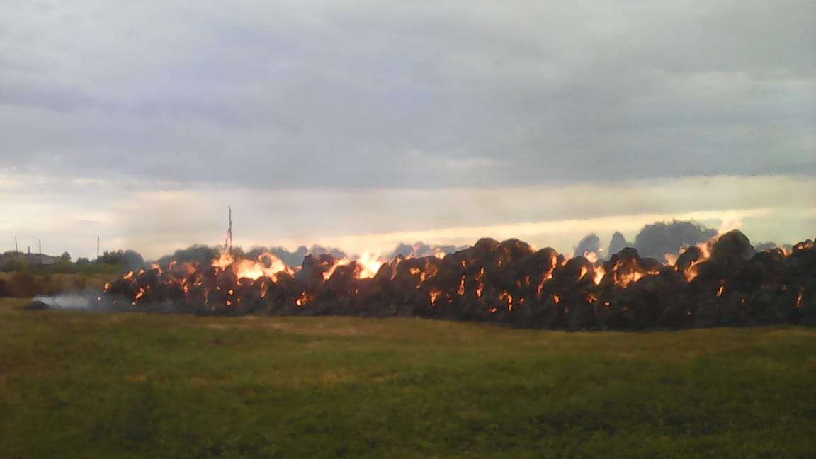 275 тонн сена в Искитимском районе уничтожили поджигатели
