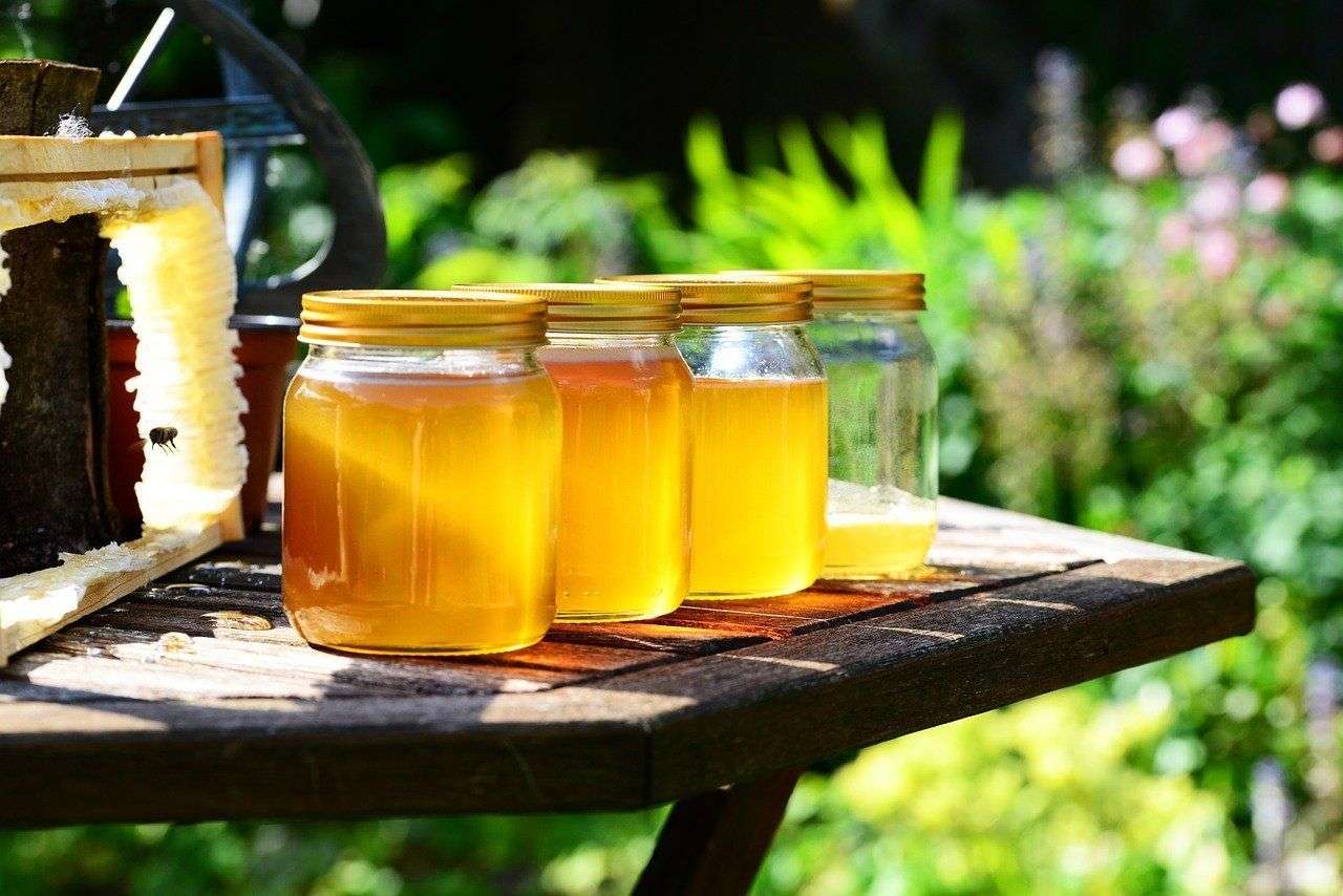 Жителей Новосибирской области признали большими любителями мёда
