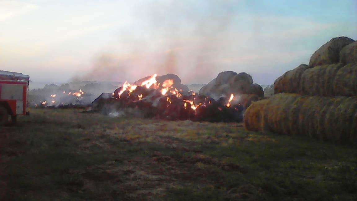Поджигатели уничтожили еще 600 центнеров сена в Искитимском  районе