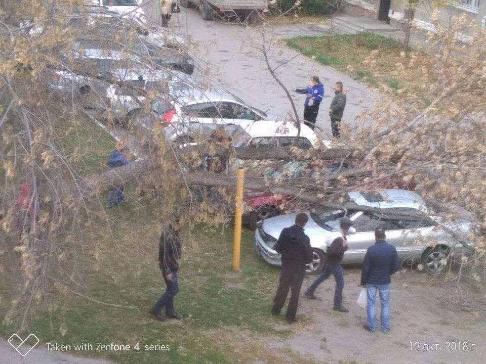 Шторм в Бердске: Дерево рухнуло на машину, упала остановка