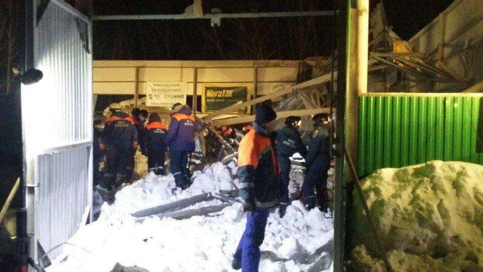 Условный срок дали директору конного клуба под Бердском, где обрушилась крыша