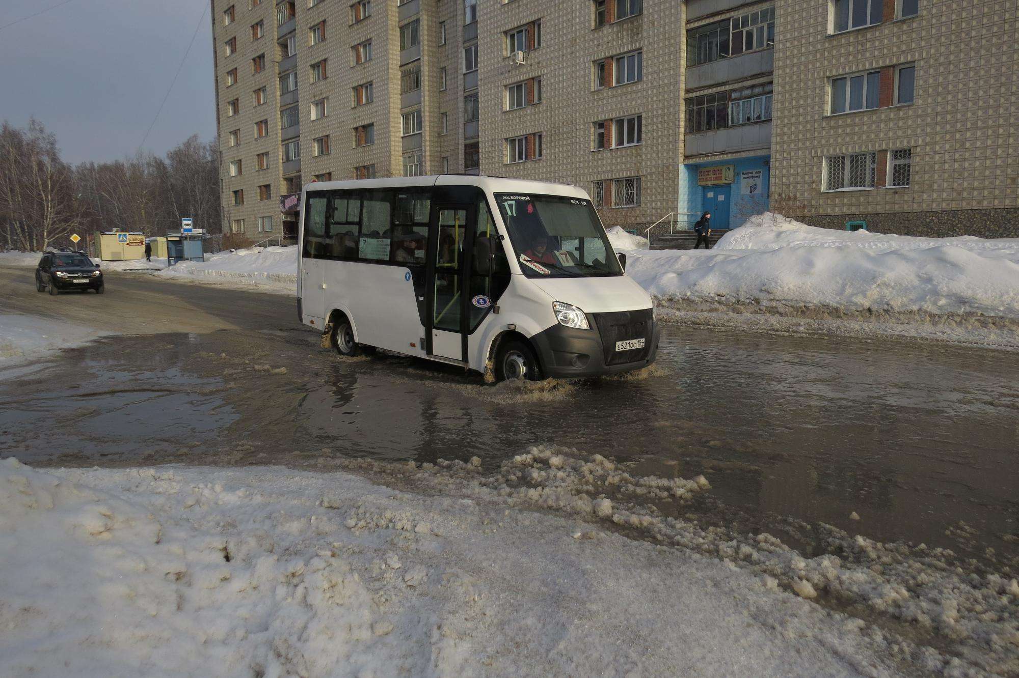 Зловонное фекальное озеро разлилось на дороге в Бердске