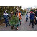 Жители посадили 25 новых деревьев в парке Бердска