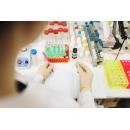 Кольцовский «Вектор» зарегистрировал тест-систему для определения антител к новому коронавирусу