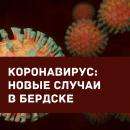 Сводка по коронавирусу Сводка по коронавирусу
