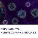 Сводка по коронавирусу Сводка по коронавирусу