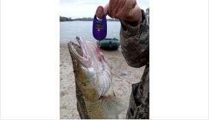 jirsfhyhbiw ковидная бригада искитим телефон