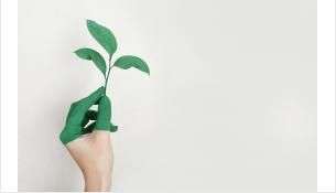 гастроэнтеролог в бердске лор практике. Смотреть фото гастроэнтеролог в бердске лор практике. Смотреть картинку гастроэнтеролог в бердске лор практике. Картинка про гастроэнтеролог в бердске лор практике. Фото гастроэнтеролог в бердске лор практике гастроэнтеролог в бердске лор практике. Смотреть фото гастроэнтеролог в бердске лор практике. Смотреть картинку гастроэнтеролог в бердске лор практике. Картинка про гастроэнтеролог в бердске лор практике. Фото гастроэнтеролог в бердске лор практике