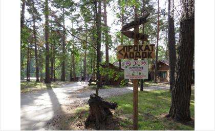 Уютная территория "Сибиряка" - любимое место бердчан для прогулок