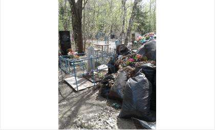 Завалили мусором могилу младенца на кладбище в Бердске