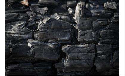 Наряду с газовыми, в Бердске используют и угольные котлы