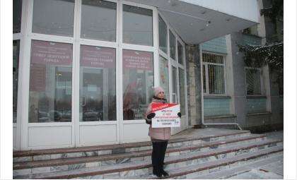 Сегодня пикетчица стоит на ступенях здания мэрии Бердска, вчера акция прошла у ДК «Родина»
