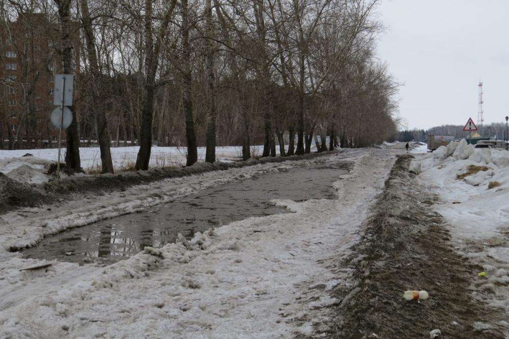 Бердск астор фото