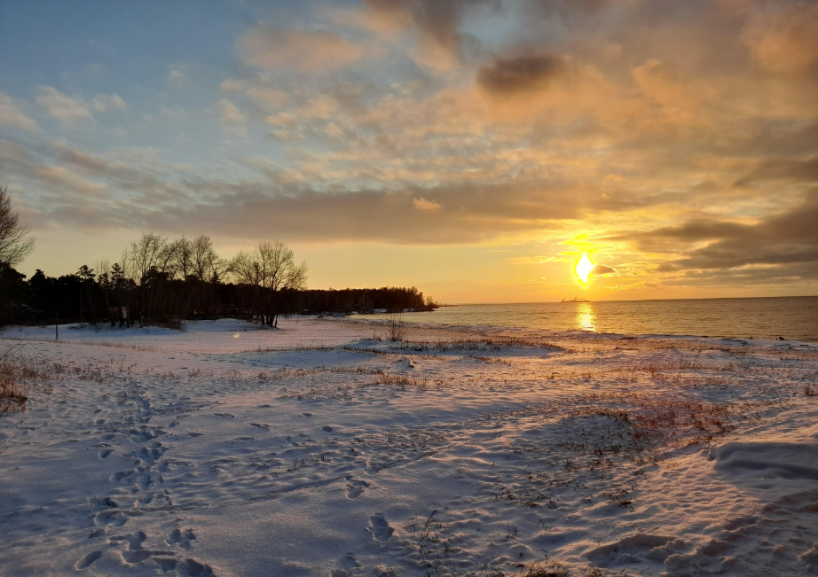 Крона санаторий бердск фото