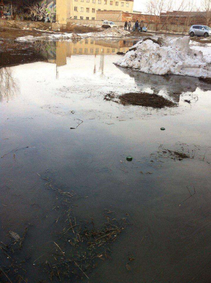 Карта затопленного бердска