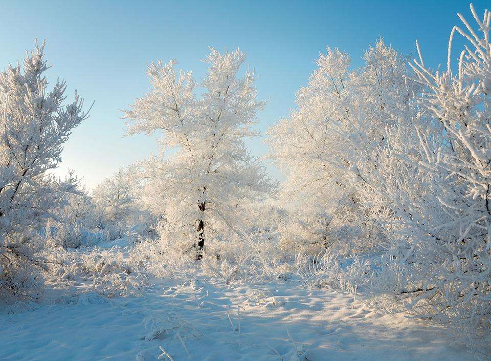 Экстренное предупреждение: морозы до -40 градусов ударят в Бердске