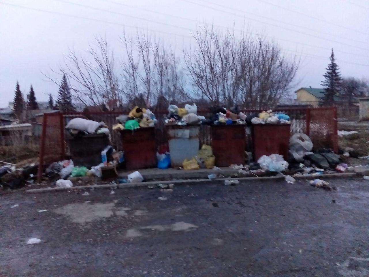 Мусоровозам не подъехать: в Бердске объяснили причину мусорных завалов 