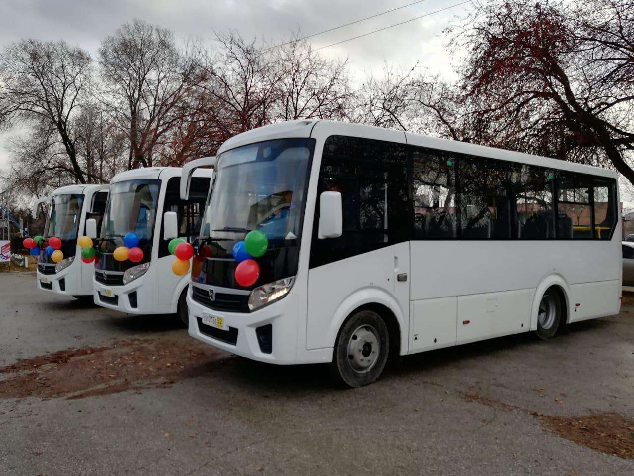 Автобус на новоникольской. Автобус ПАЗ Новосибирск. Новые автобусы. Новые автобусы Новосибирск. Автобусы новых марок.