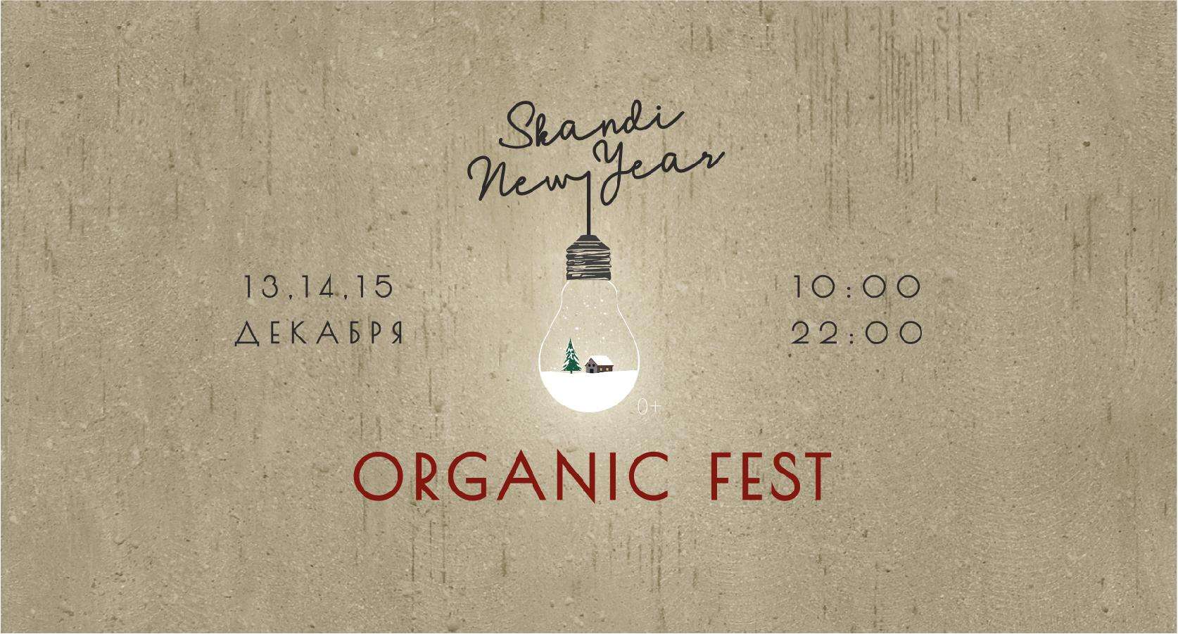 Бердчан приглашают на фестиваль Organic Fest: минимализм, комфорт и Новый год
