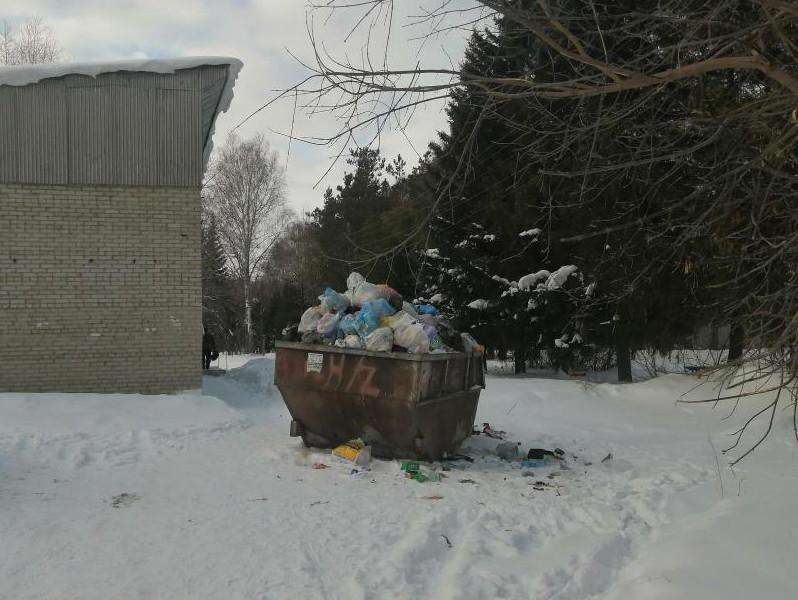 Погода в искитиме. Экологическая ситуация в Бердске. Экология ТКО Искитим. Искитим экология.