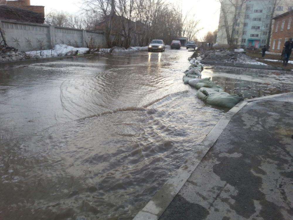 Паводок угрожает 447 домам в Бердске 