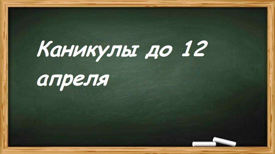 Каникулы до 12 апреля: Дистанционного обучения в Бердске в это время не будет