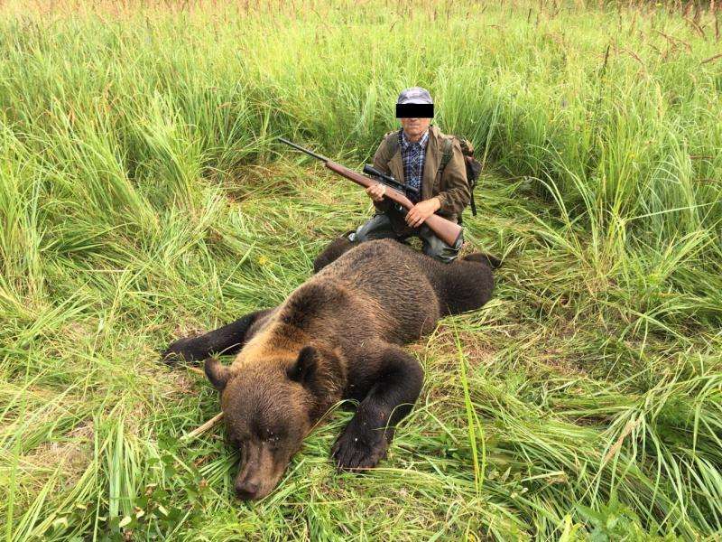 По фото в соцсетях задержали 64-летнего браконьера, застрелившего медведя