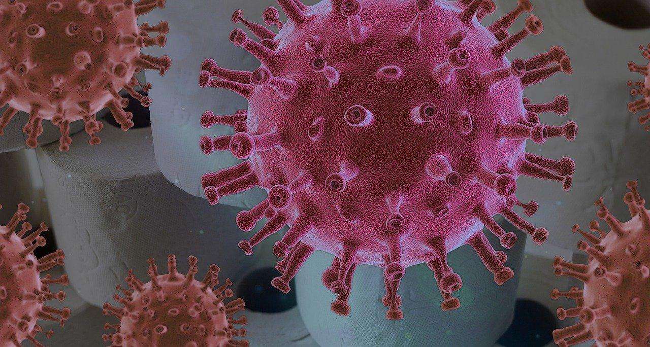 У вас есть иммунитет к коронавирусу? Платный тест на антитела будут делать в Новосибирске