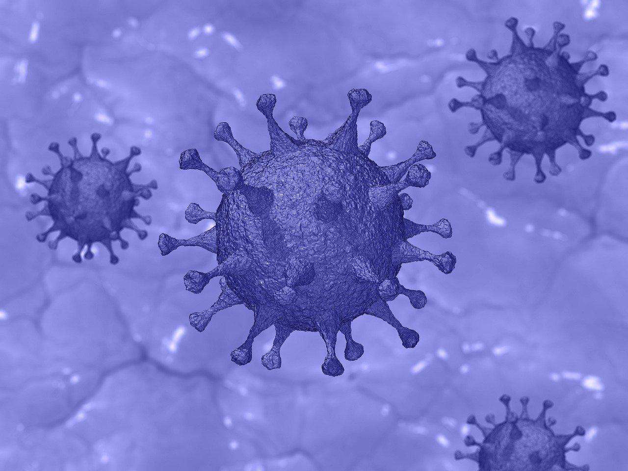 Уже 63 человека умерли от коронавируса в России. Заразившихся - более 8000