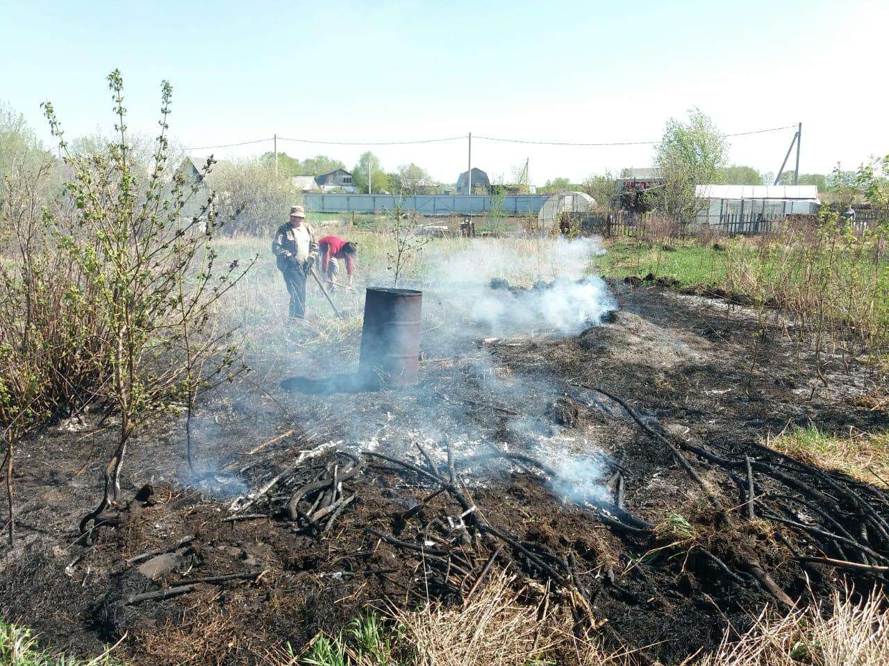 Пожары полыхали из-за поджогов мусора и травы в Бердске