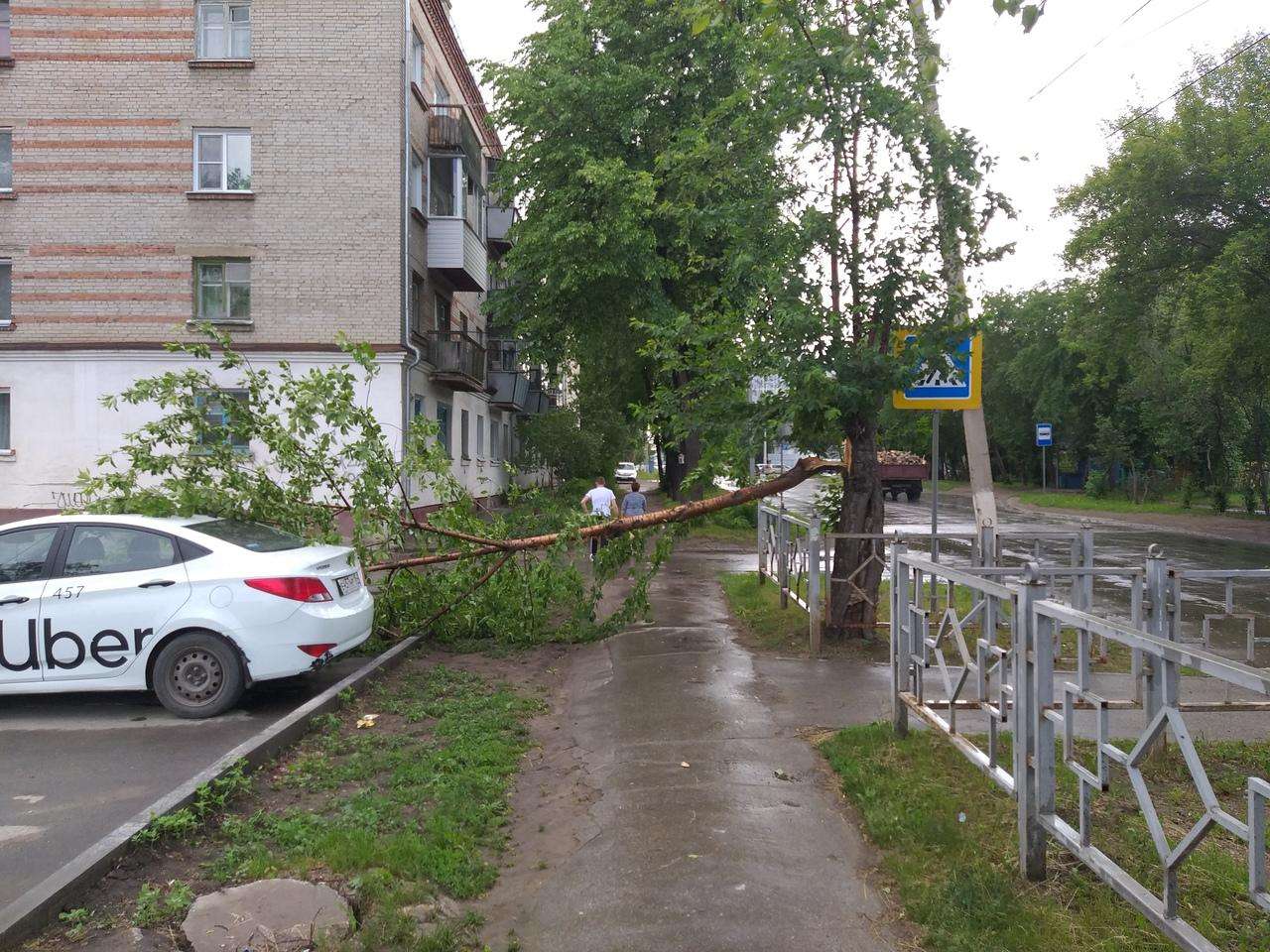 Владимир Захаров: Последствия урагана в Бердске гораздо лучше, чем в Новосибирске