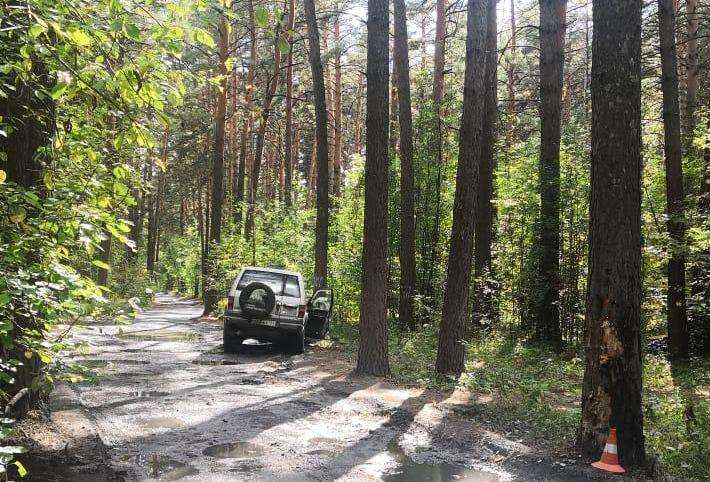 Водитель без прав врезался в дерево на территории санатория «Жемчужина»  в Бердске