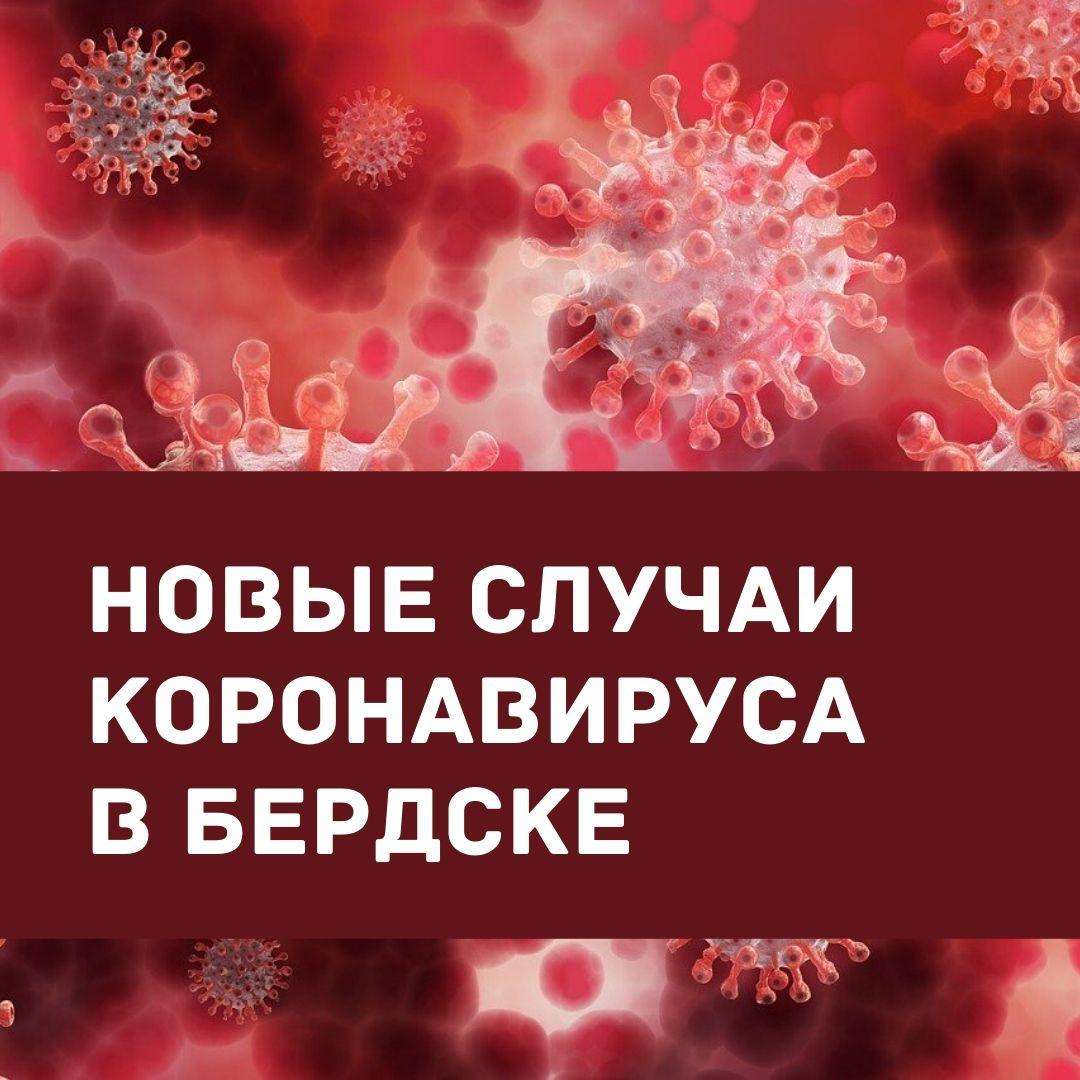 237 случаев COVID-19 зарегистрировано в Бердске с начала пандемии