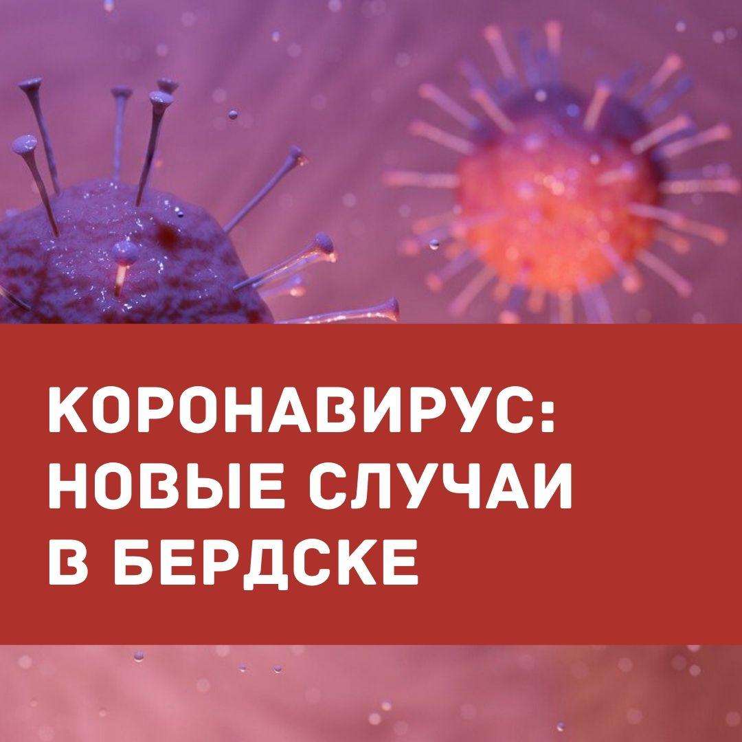 240 случаев COVID-19 зарегистрировано в Бердске с начала пандемии