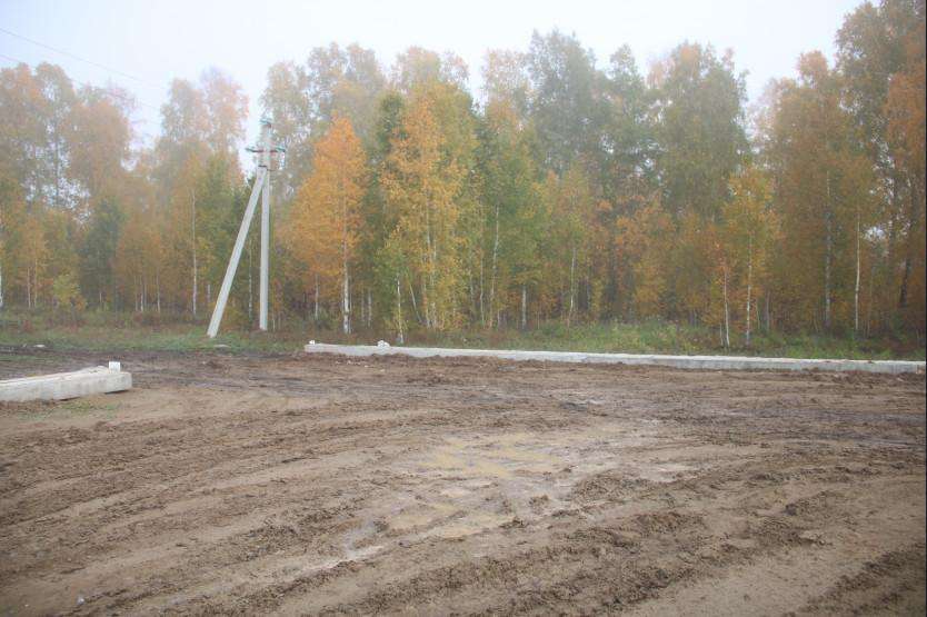 Не ведётся строительных работ на месте предполагаемого полигона ТКО под Бердском